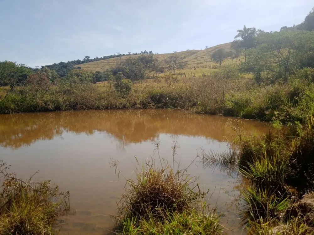 Fazenda, 5 hectares - Foto 2