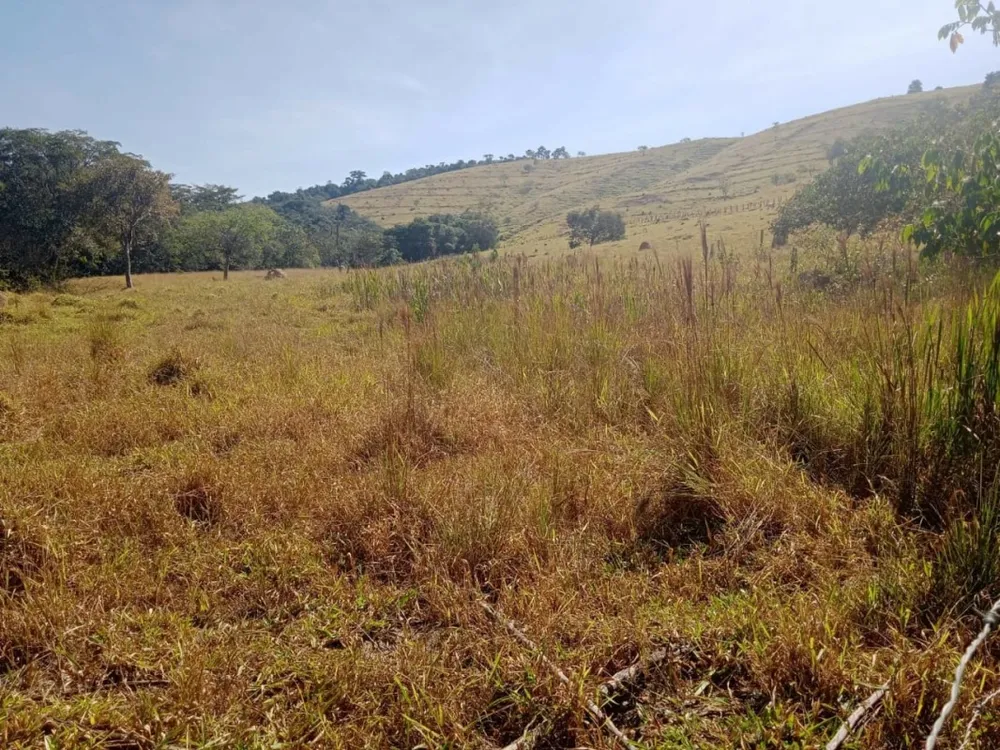Fazenda, 5 hectares - Foto 6