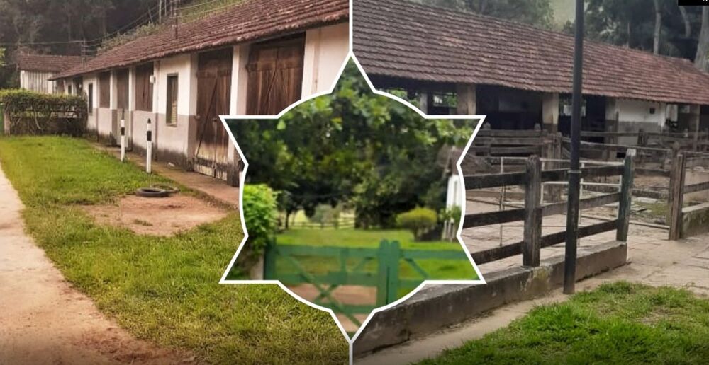 Fazenda à venda com 4 quartos, 5130000m² - Foto 4