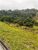 Fazenda, 513 hectares - Foto 1