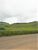 Fazenda, 513 hectares - Foto 2
