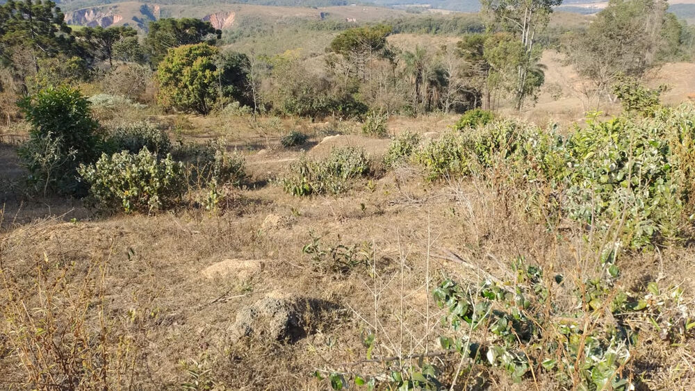 Sítio à venda com 1 quarto - Foto 1