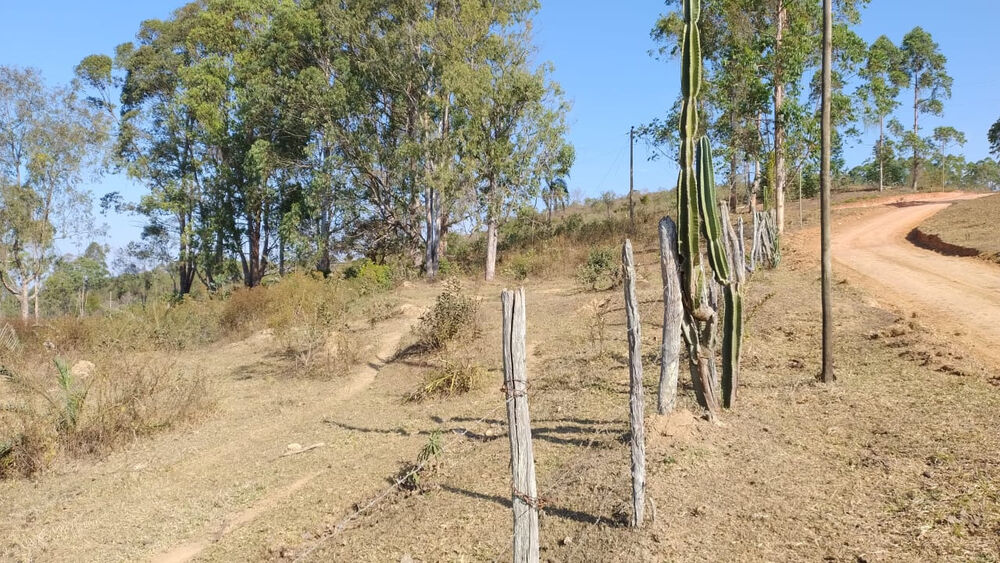 Sítio à venda com 1 quarto - Foto 10