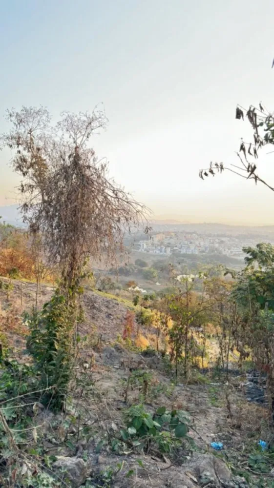 Terreno, 370 m² - Foto 5
