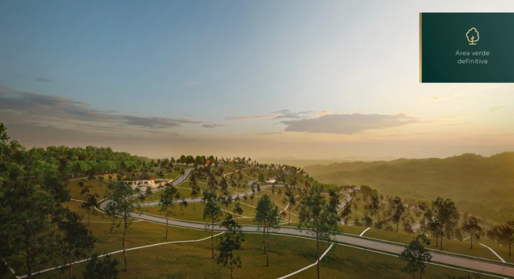 Terreno, 1501 m² - Foto 6