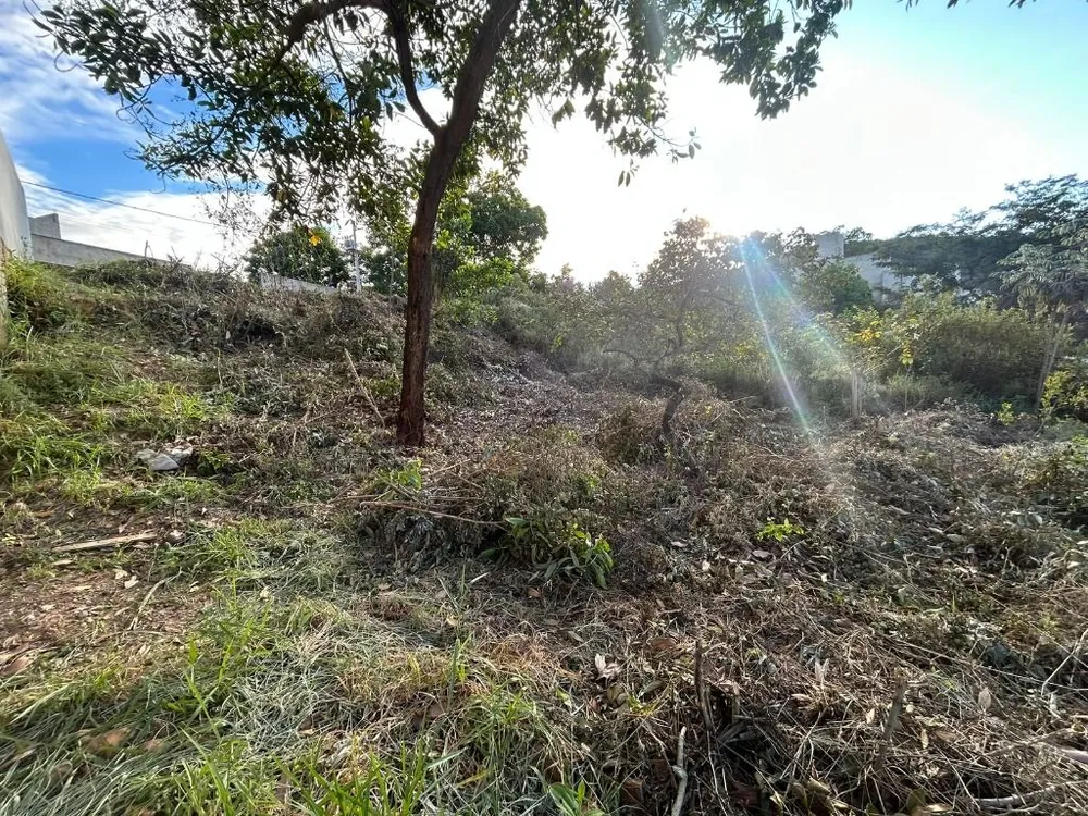 Terreno, 455 m² - Foto 6