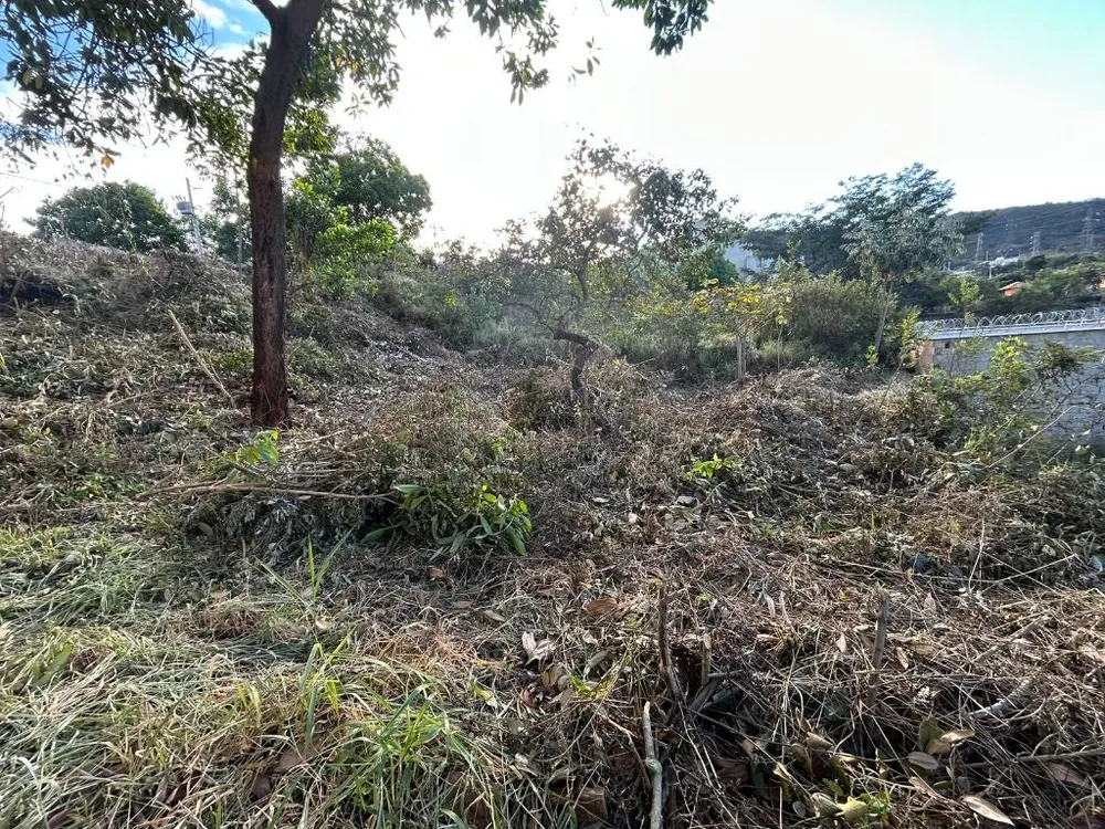 Terreno, 455 m² - Foto 5