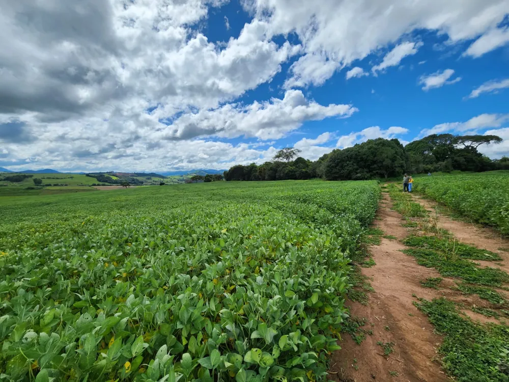 Fazenda, 77 hectares - Foto 2