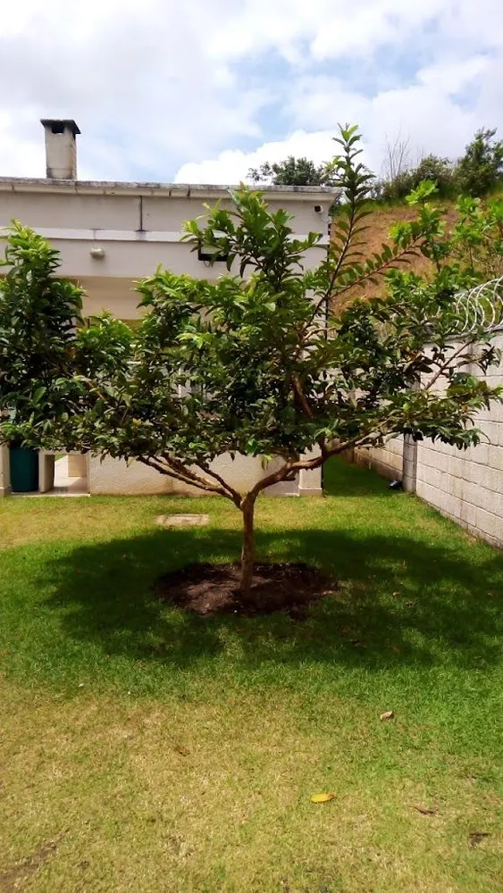 Apartamento, 2 quartos, 43 m² - Foto 6