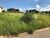 Terreno, 200 m² - Foto 4