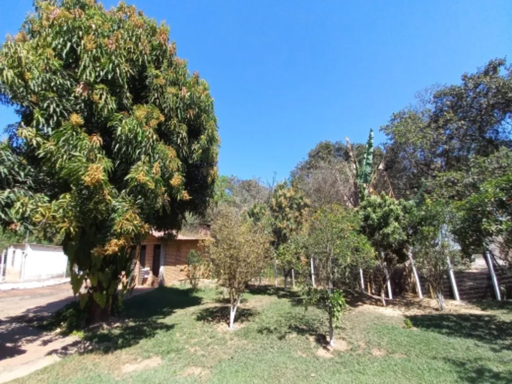 Chácara, 4 quartos - Foto 2