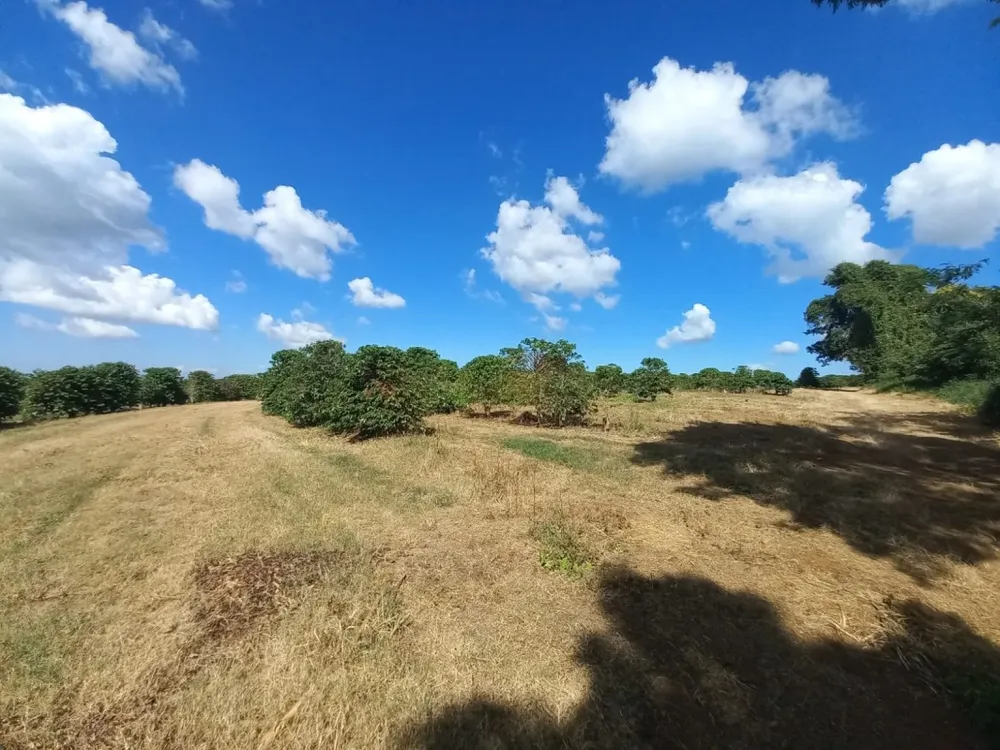 Fazenda, 5 quartos - Foto 18