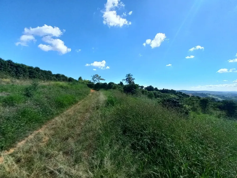 Fazenda, 5 quartos - Foto 6