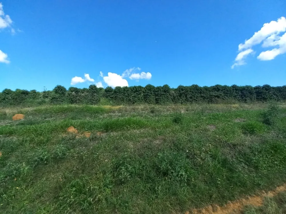 Fazenda, 5 quartos - Foto 16