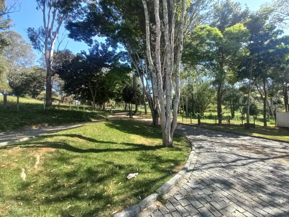 Fazenda, 5 quartos - Foto 4