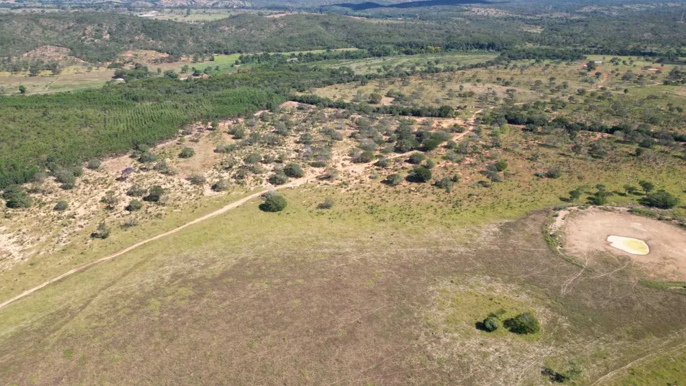 Fazenda, 813 hectares - Foto 6