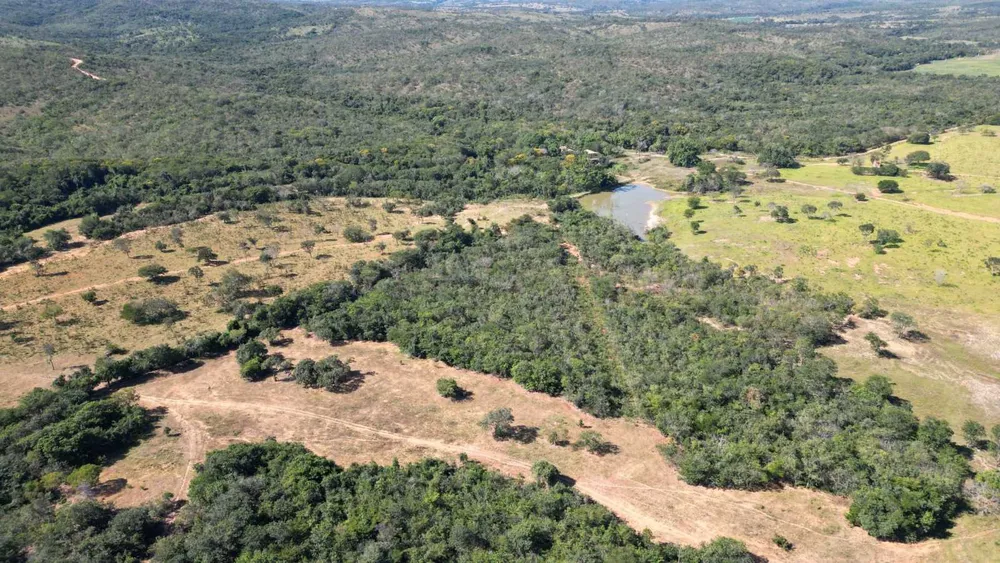 Fazenda, 813 hectares - Foto 4