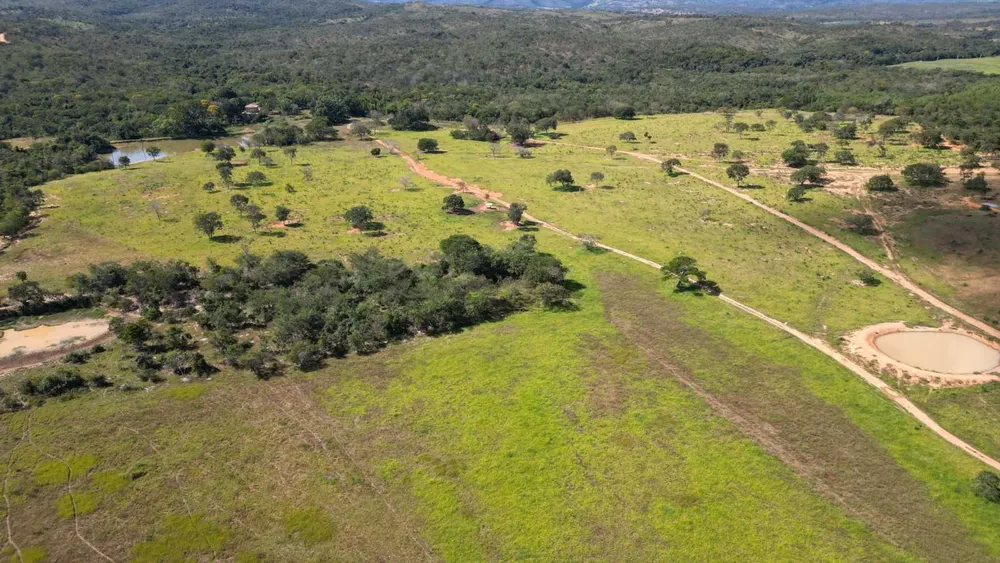 Fazenda, 813 hectares - Foto 3