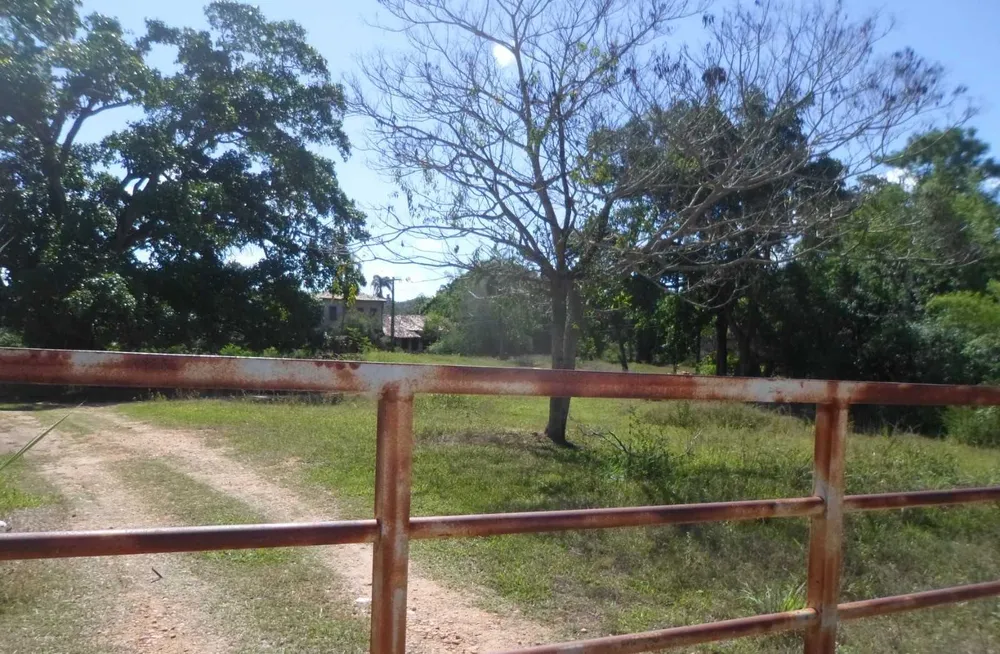 Fazenda, 813 hectares - Foto 8