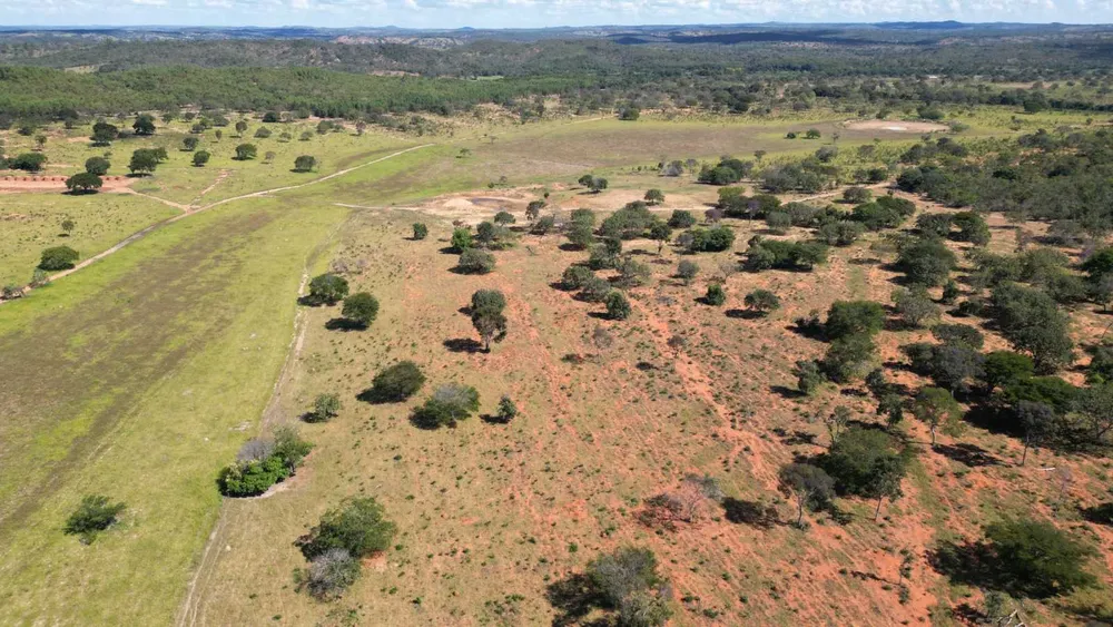Fazenda, 813 hectares - Foto 2