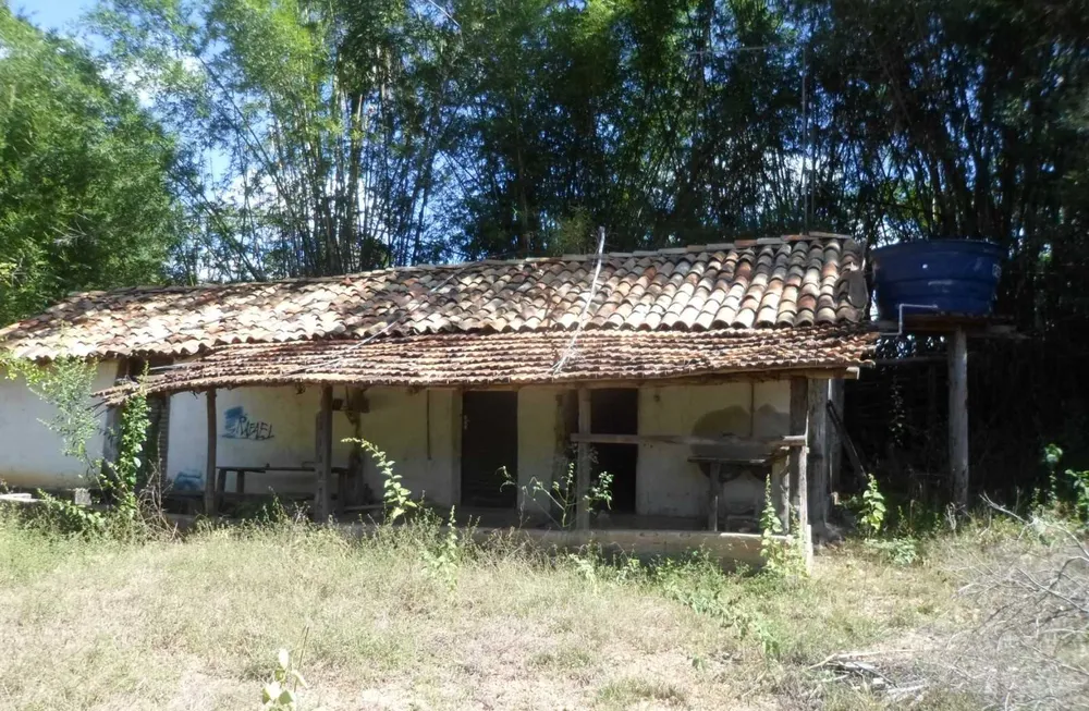 Fazenda, 813 hectares - Foto 11