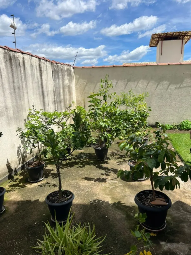 Casa, 5 quartos, 174 m² - Foto 4