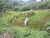 Terreno, 785 m² - Foto 3