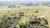 Terreno, 2 hectares - Foto 4