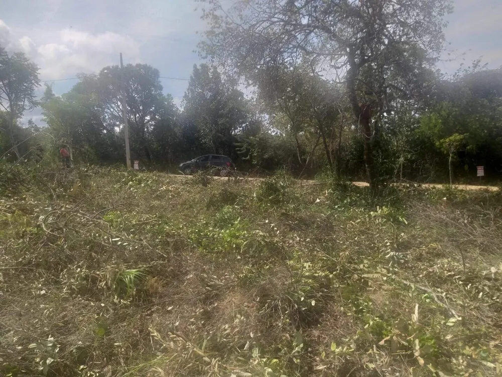Terreno, 1000 m² - Foto 5