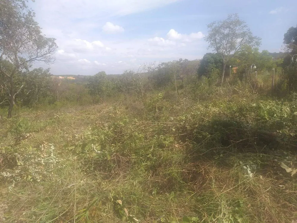 Terreno, 1000 m² - Foto 6