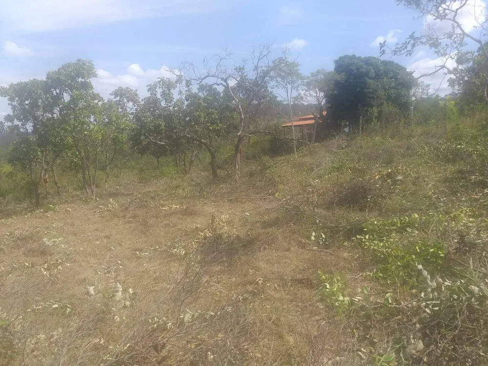 Terreno, 1000 m² - Foto 4