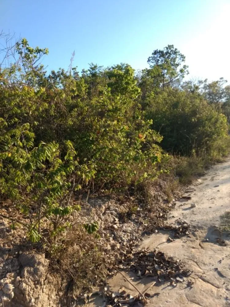 Terreno, 4000 m² - Foto 3