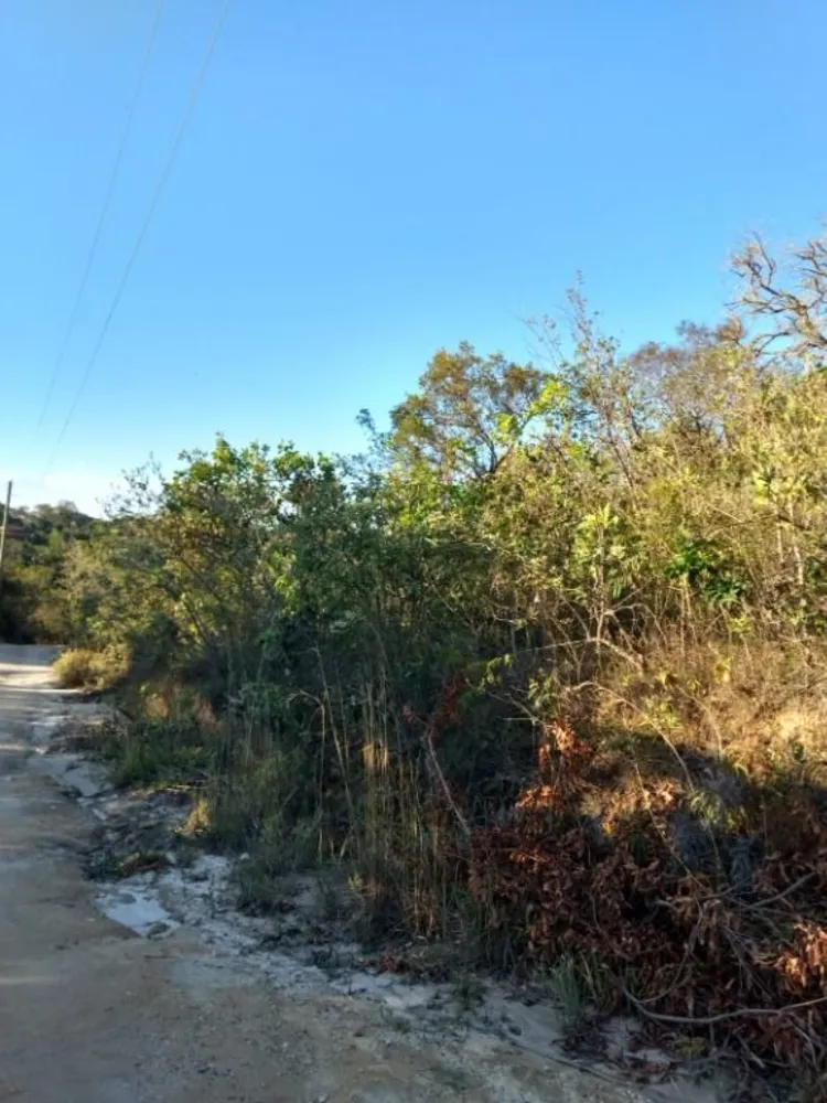 Terreno, 4000 m² - Foto 10