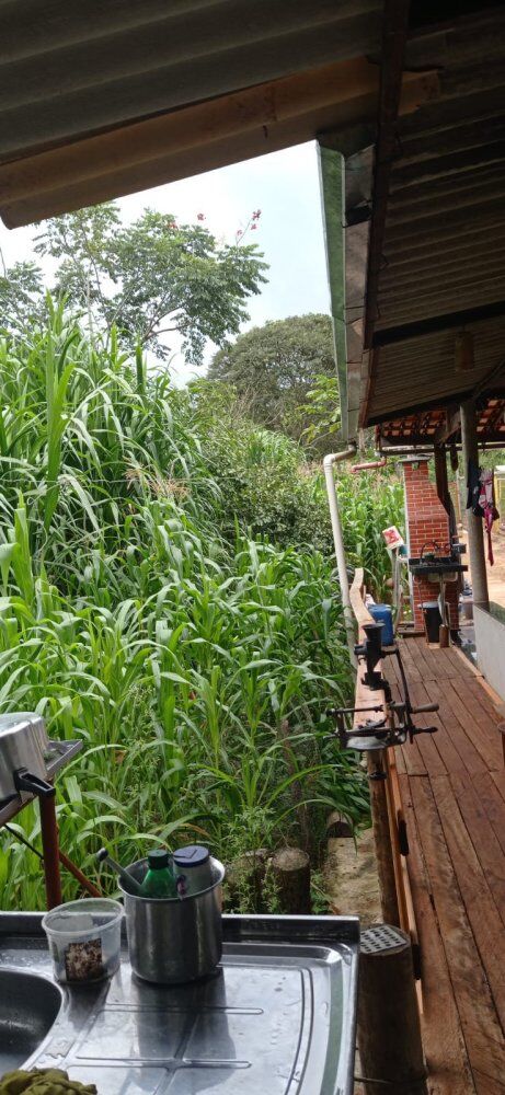Chácara à venda com 2 quartos, 500m² - Foto 4