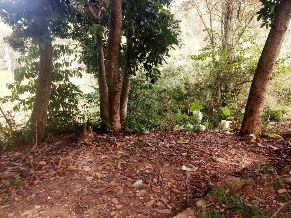 Terreno, 360 m² - Foto 3