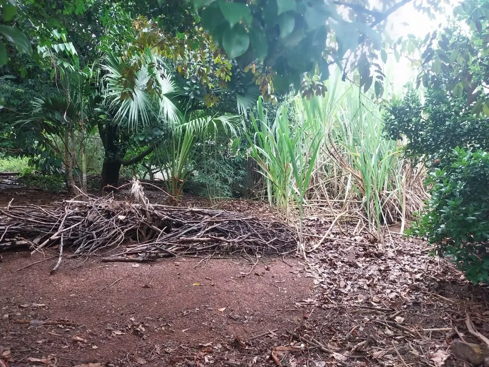 Terreno, 500 m² - Foto 3