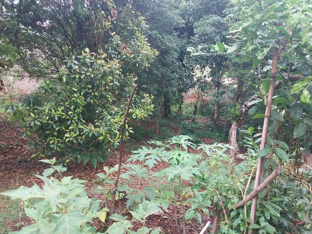 Terreno, 500 m² - Foto 6