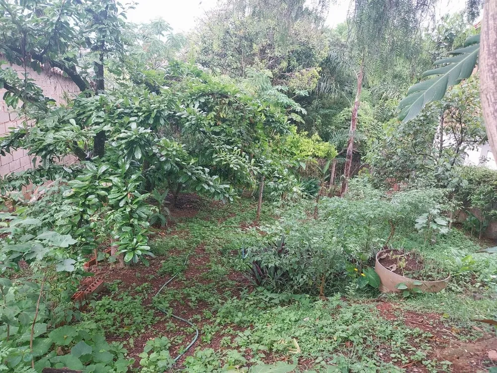 Terreno, 500 m² - Foto 8