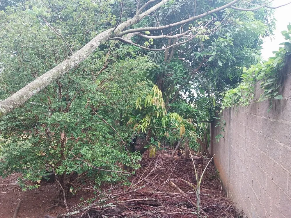 Terreno, 500 m² - Foto 5