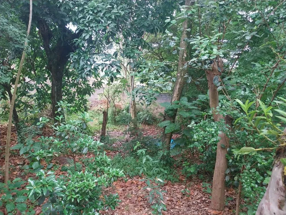 Terreno, 500 m² - Foto 7