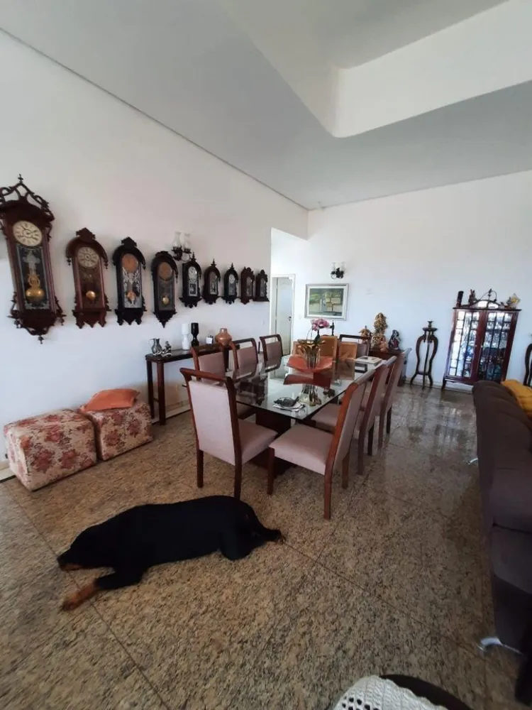 Casa, 4 quartos, 330 m² - Foto 5