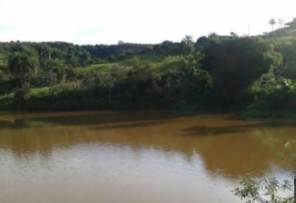Chácara, 1 quarto, 2500 m² - Foto 6