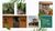 Terreno, 1240 m² - Foto 6