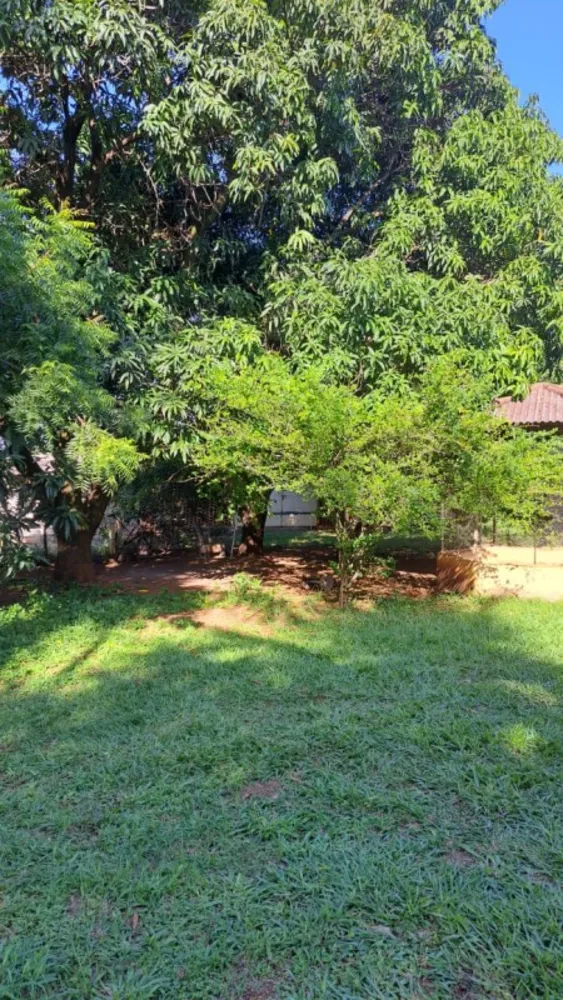 Sítio, 4 quartos, 500 m² - Foto 11