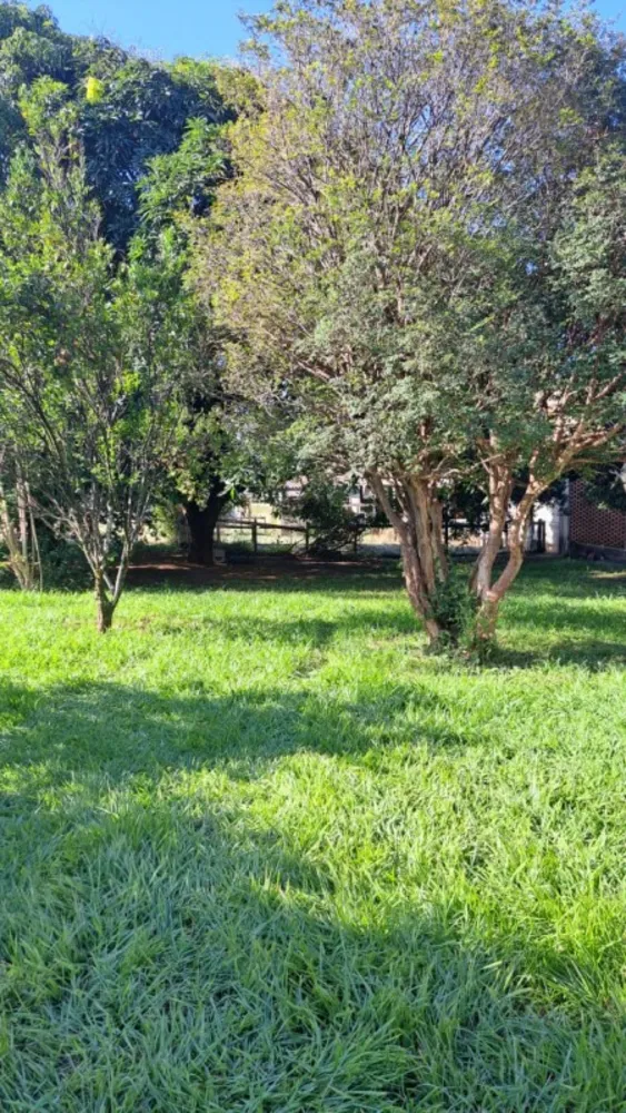 Sítio, 4 quartos, 500 m² - Foto 12