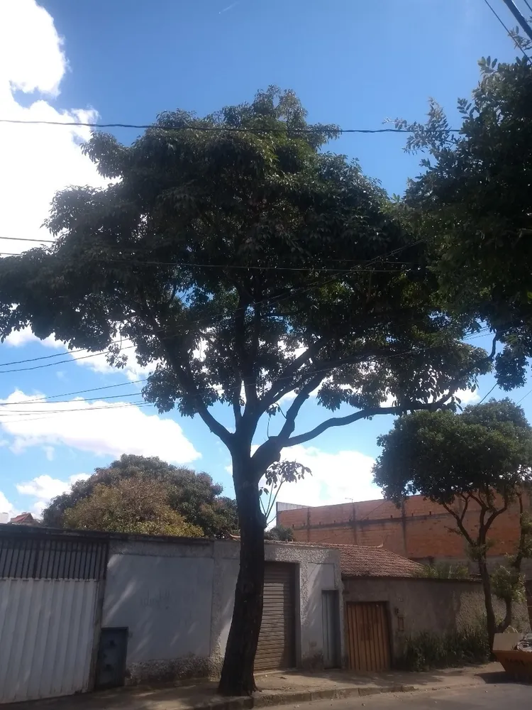 Loja-Salão, 450 m² - Foto 7