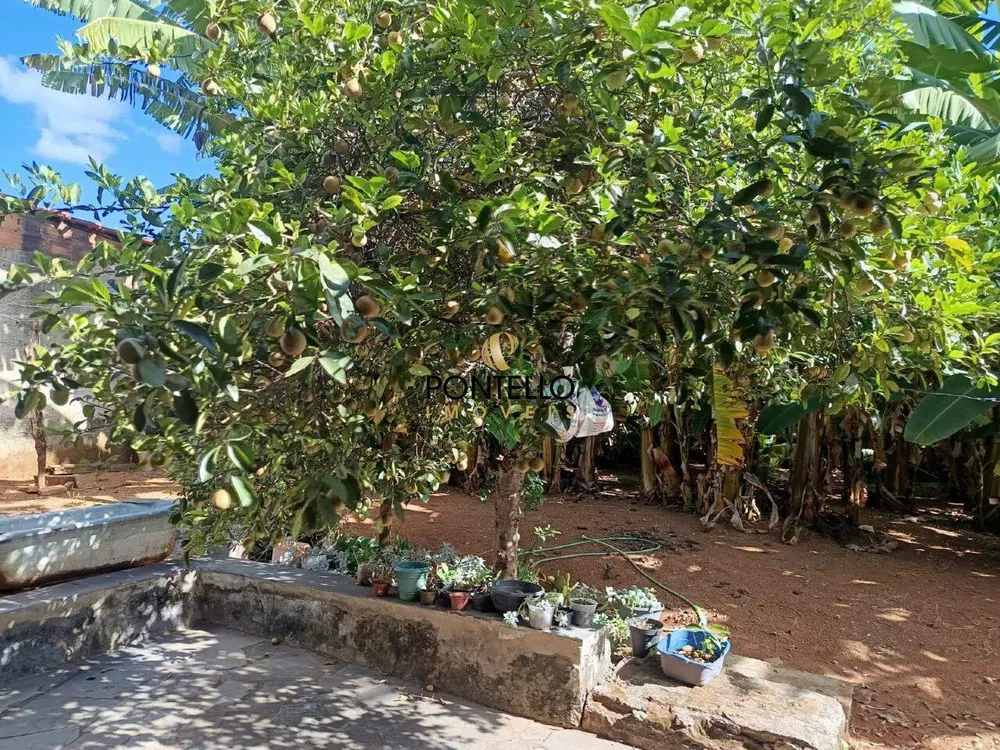 Casa, 4 quartos, 207 m² - Foto 12