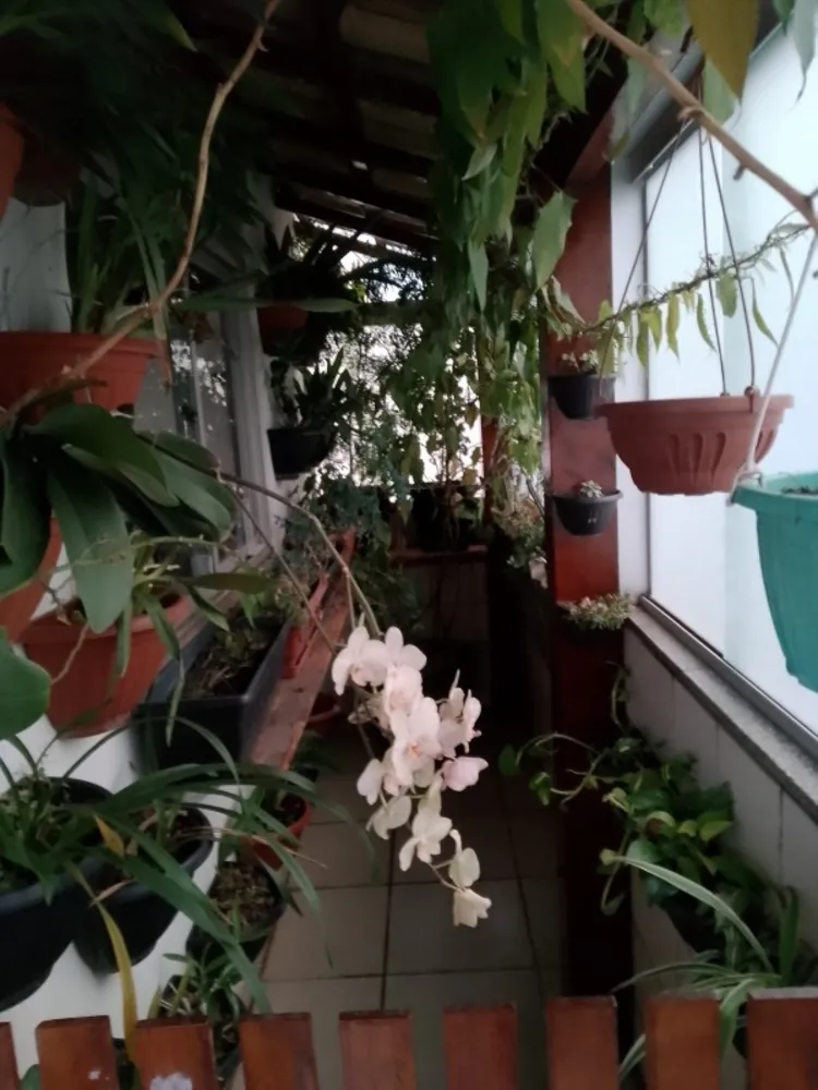 Cobertura, 3 quartos, 120 m² - Foto 1