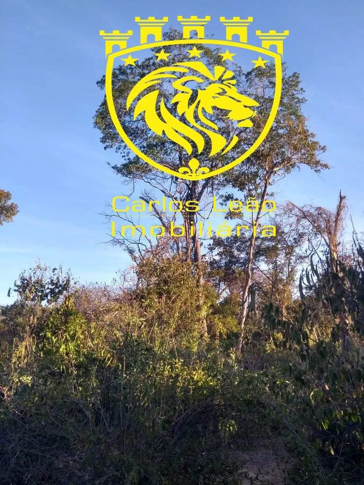 Fazenda, 1 quarto - Foto 6