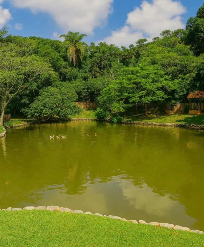 Chácara, 3 quartos - Foto 15